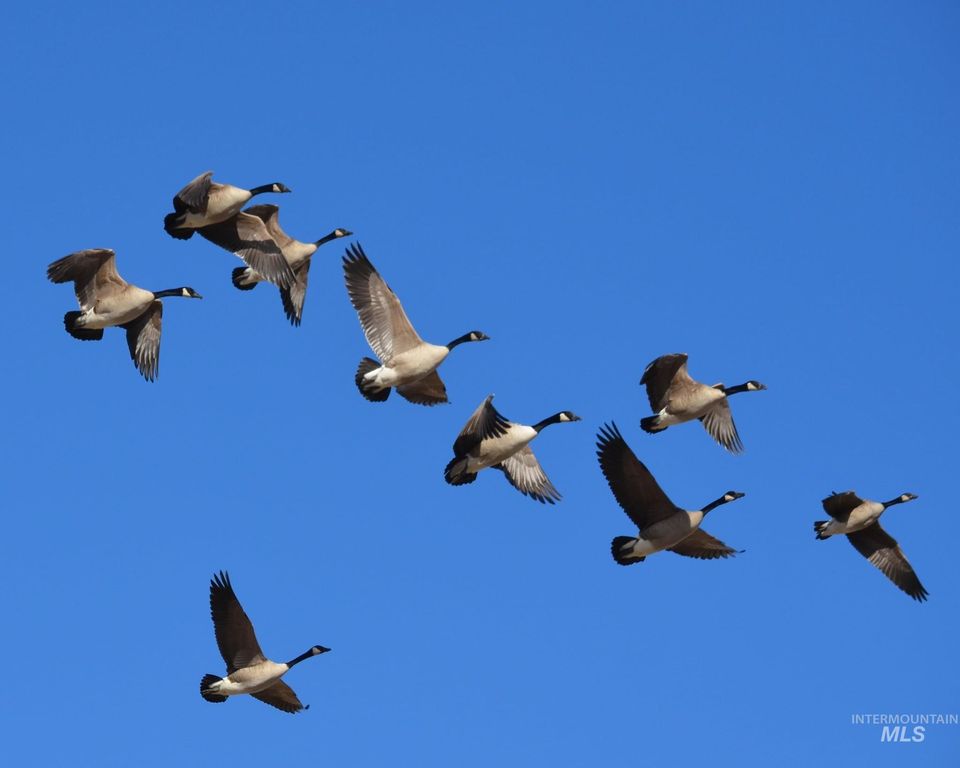 2117 Weiser River Road, Weiser, ID 83672 photo 48