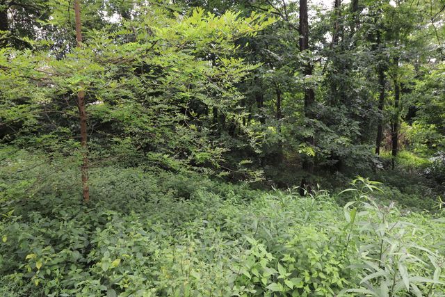 354 Garrett Avenue, Brooksville, KY 41004