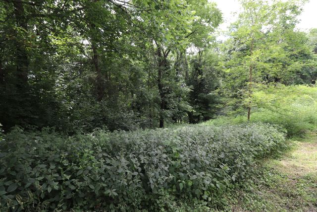 354 Garrett Avenue, Brooksville, KY 41004