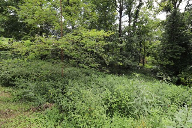 354 Garrett Avenue, Brooksville, KY 41004