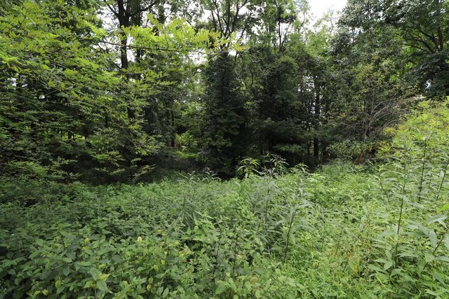 354 Garrett Avenue, Brooksville, KY 41004