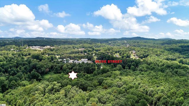 0 Olive Street, Easley, SC 29640