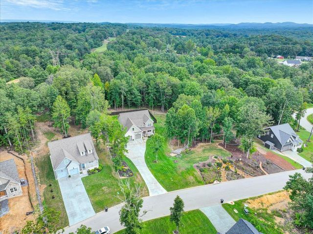 11785 Maddox Drive, Georgetown, TN 37336