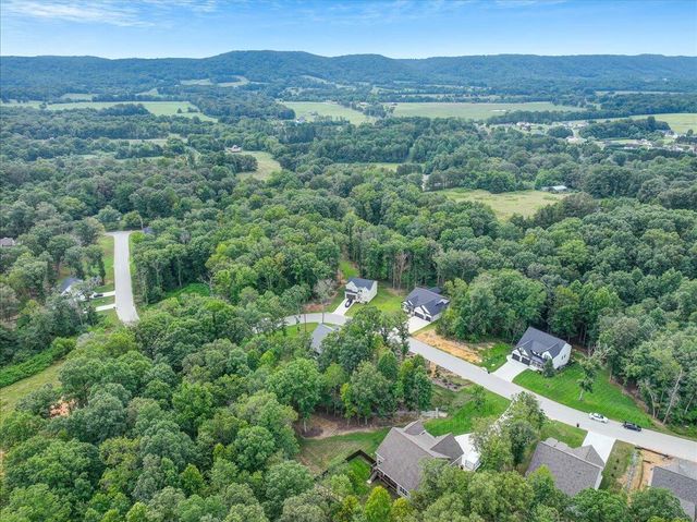 11785 Maddox Drive, Georgetown, TN 37336