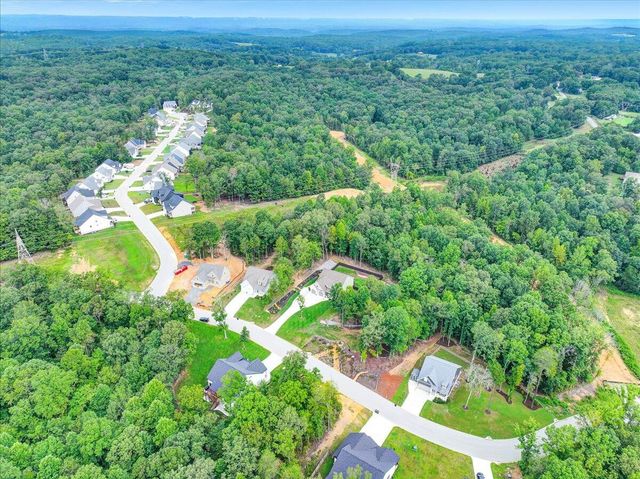 11785 Maddox Drive, Georgetown, TN 37336
