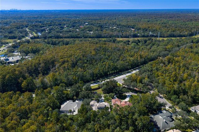 16303 HEATHROW DRIVE, Tampa, FL 33647