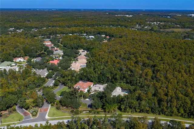 16303 HEATHROW DRIVE, Tampa, FL 33647