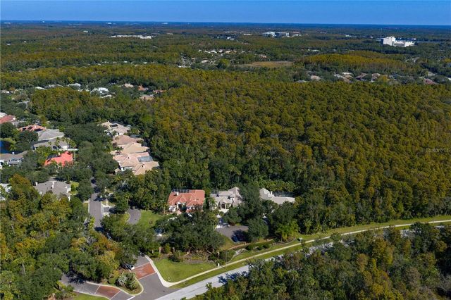 16303 HEATHROW DRIVE, Tampa, FL 33647