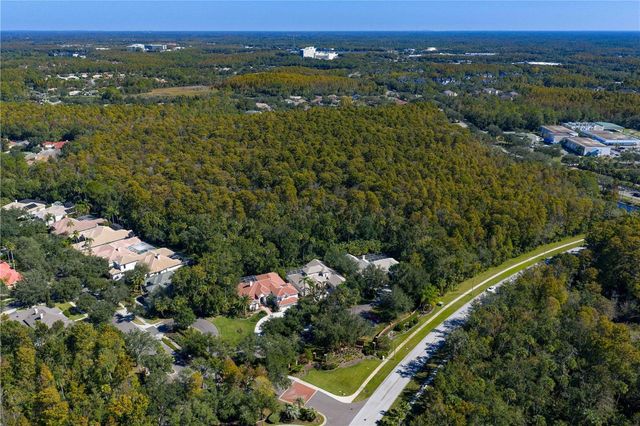 16303 HEATHROW DRIVE, Tampa, FL 33647