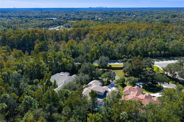 16303 HEATHROW DRIVE, Tampa, FL 33647