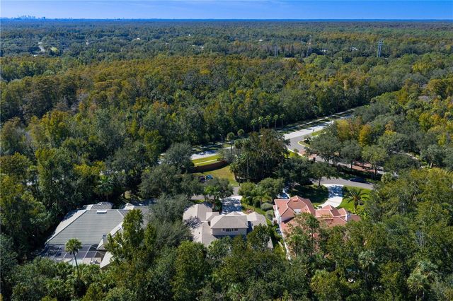 16303 HEATHROW DRIVE, Tampa, FL 33647