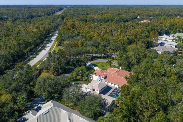 16303 HEATHROW DRIVE, Tampa, FL 33647