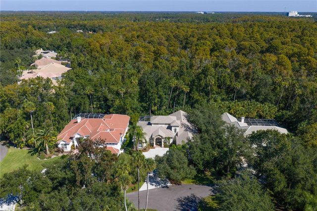 16303 HEATHROW DRIVE, Tampa, FL 33647