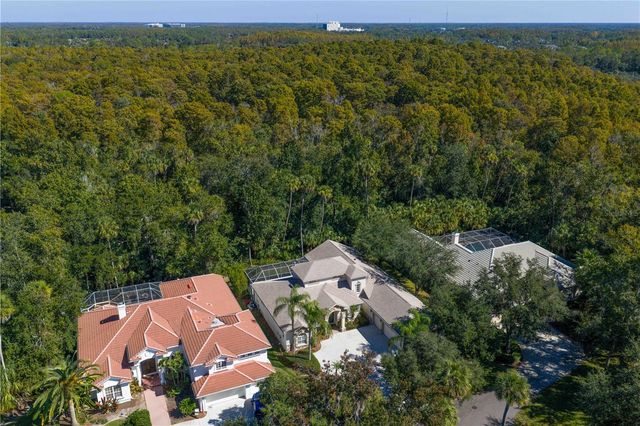 16303 HEATHROW DRIVE, Tampa, FL 33647