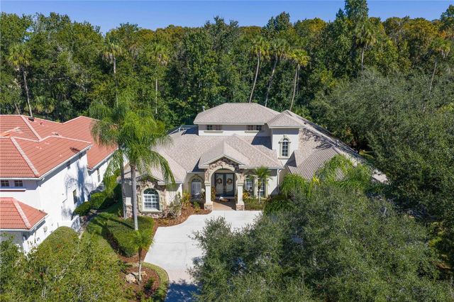 16303 HEATHROW DRIVE, Tampa, FL 33647