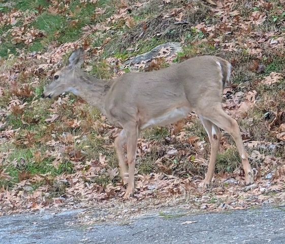 130 Overlook Trl, Goodlettsville, TN 37072