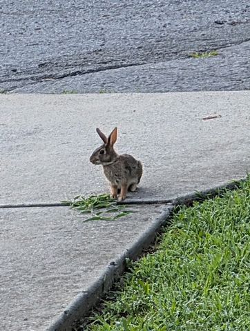 130 Overlook Trl, Goodlettsville, TN 37072