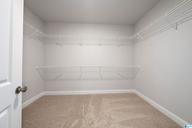 6581 LITTLE GOOSE DRIVE, Trussville, AL 35173