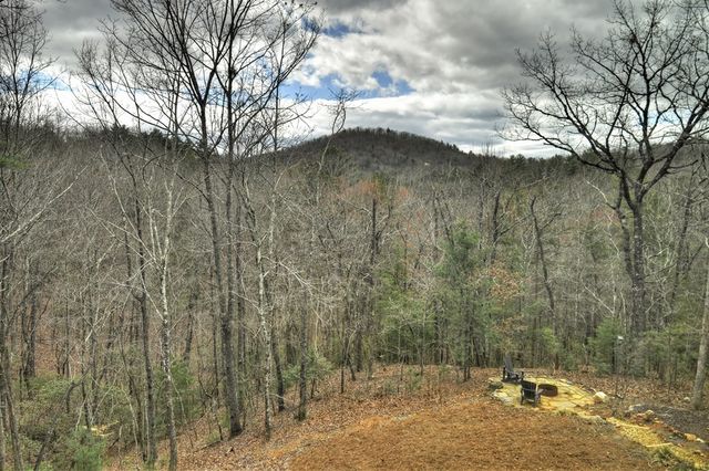 152 Oceola Drive, Ellijay, GA 30540