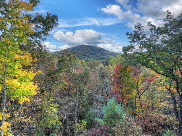 152 Oceola Drive, Ellijay, GA 30540