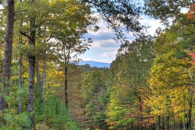 152 Oceola Drive, Ellijay, GA 30540