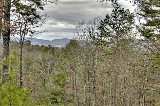 152 Oceola Drive, Ellijay, GA 30540