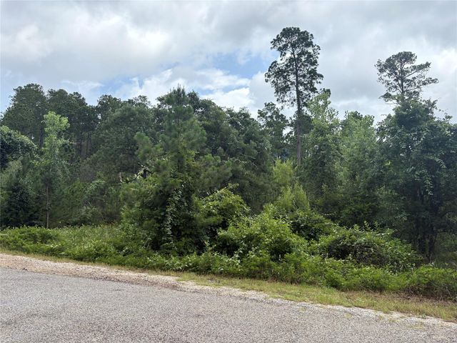 TBD Kaena LN, Bastrop, TX 78602