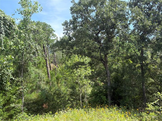TBD Kaena LN, Bastrop, TX 78602