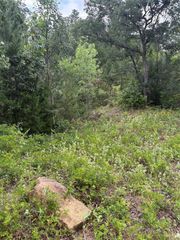 TBD Kaena LN, Bastrop, TX 78602