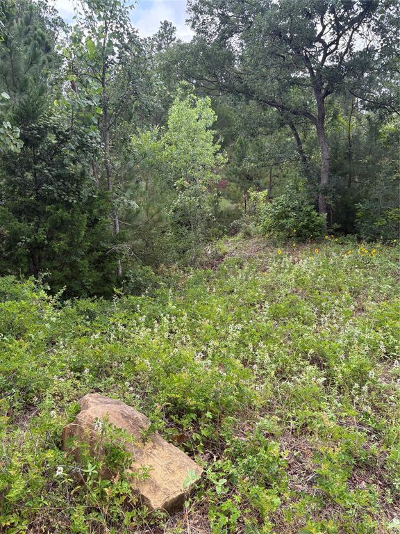 TBD Kaena LN, Bastrop, TX 78602