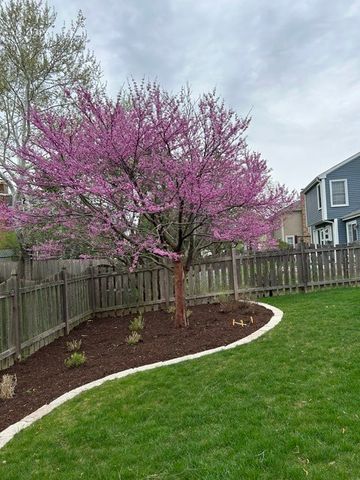 1846 Baltimore Drive, Elk Grove Village, IL 60007