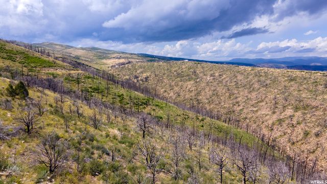 Dist 121 Lot 94 Plat 3 Strawbe 94, Fruitland, UT 84027