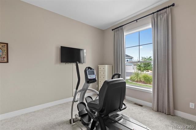 8664 S Zante Court, Aurora, CO 80016