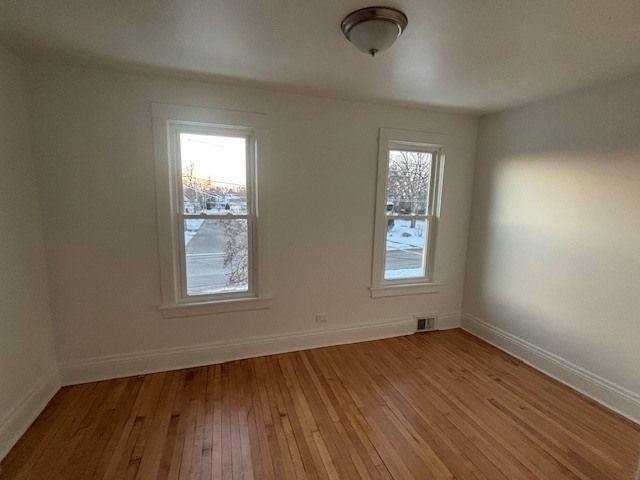 113 Orchard Street, Round Lake, IL 60073