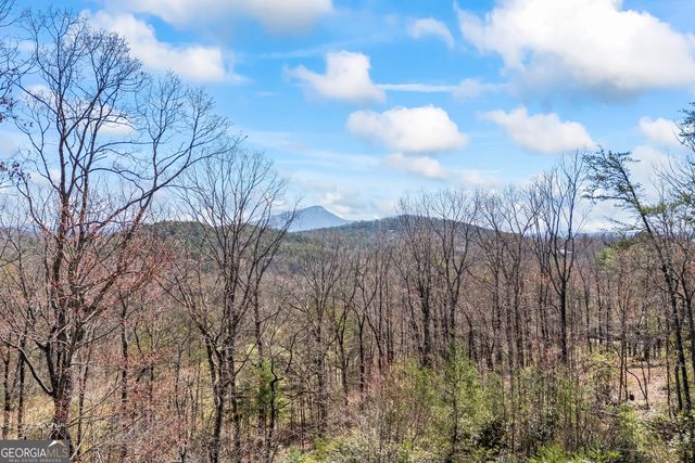 266 Slayton Gap Trail, Cleveland, GA 30528