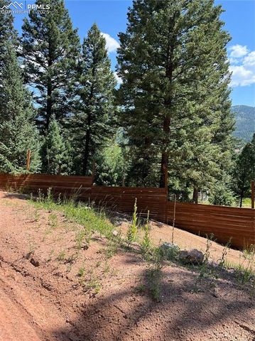 193 Summer Haven Drive, Woodland Park, CO 80863