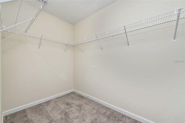 2843 ALDER BERRY BOULEVARD, Ocoee, FL 34761