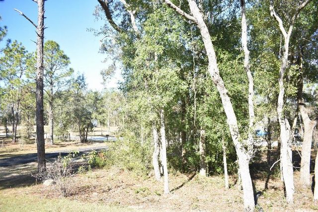 13230 NE 9TH STREET, Williston, FL 32696