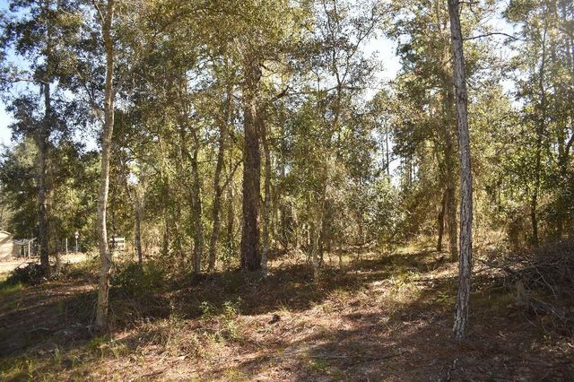 13230 NE 9TH STREET, Williston, FL 32696