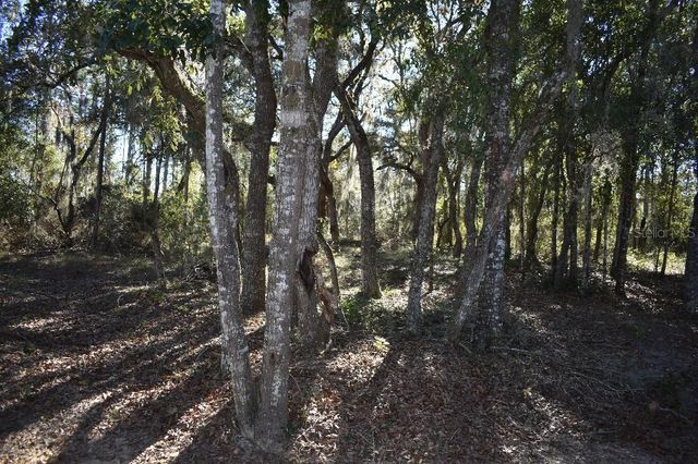 13230 NE 9TH STREET, Williston, FL 32696