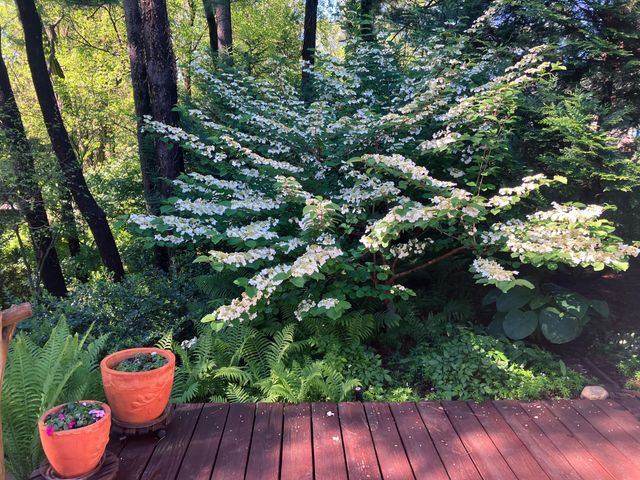 49 Aspen Road, Ogden Dunes, IN 46368