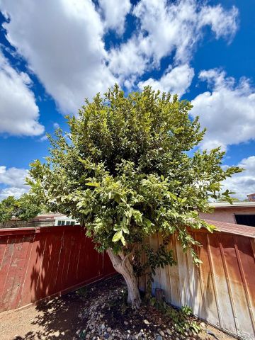 1162 Ocelot Ave, Chula Vista, CA 91911