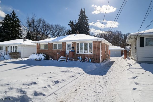 1115 Birch Lane, Cleveland, OH 44109