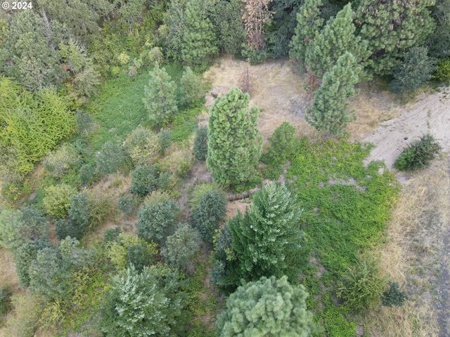 141 Hwy, White Salmon, WA 98672