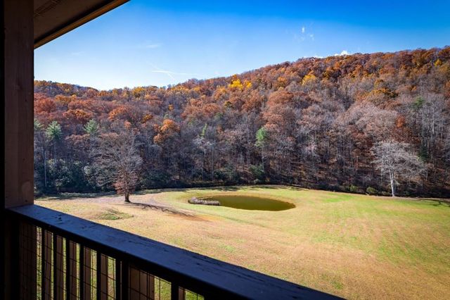 908 Cashes Valley Road, Cherry Log, GA 30522