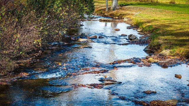 908 Cashes Valley Road, Cherry Log, GA 30522