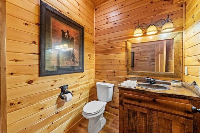 908 Cashes Valley Road, Cherry Log, GA 30522