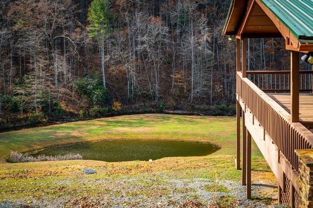 908 Cashes Valley Road, Cherry Log, GA 30522