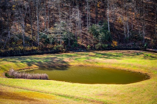 908 Cashes Valley Road, Cherry Log, GA 30522