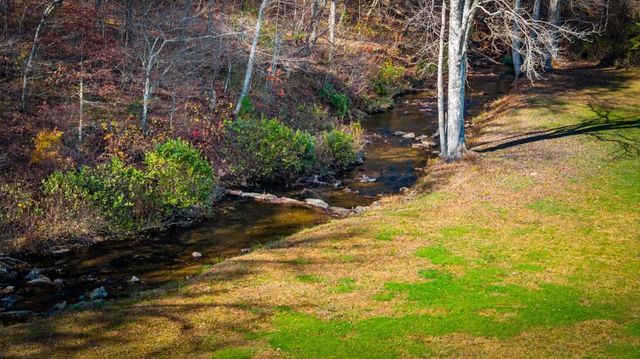 908 Cashes Valley Road, Cherry Log, GA 30522